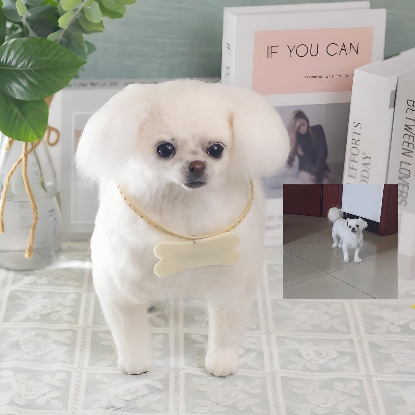 MPLANET Wool Felt customized cat and dog commemorative gifts, pet doll gifts, full body three-dimensional ornaments, handmade products